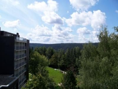 Am Park2