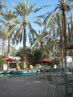 Le Saharien Paradise0