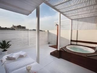 Luxury Centic Penthouse Terraces2