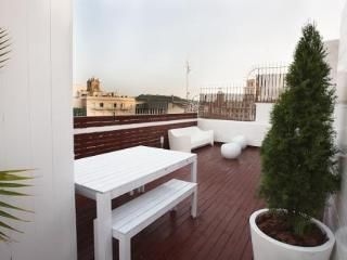 Luxury Centic Penthouse Terraces4