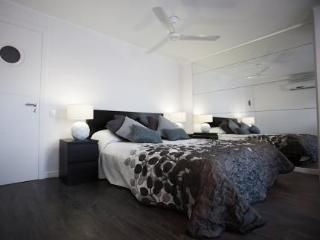 Luxury Centic Penthouse Terraces3