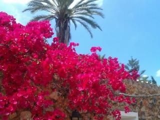 Agroturisme Son Pons0