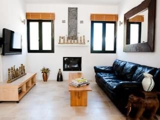 Amonita2