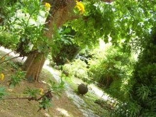 Le Prado De St Raph0