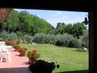 Hotel La Terrazza4