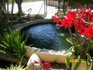 Anna Garden   - Fethiye2