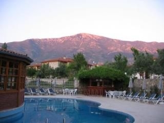 Elze Hotel4