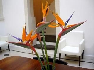 โรงแรมคาวาเลียรี (Hotel Cavalieri)4
