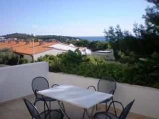 Apartments Rogosic1