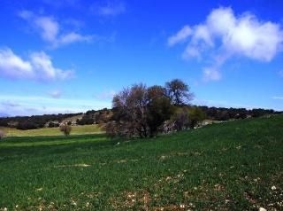 Casa Rural Los Pastores4