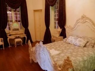 Chateau Estefani3