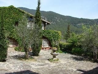 Mas Salvanera1