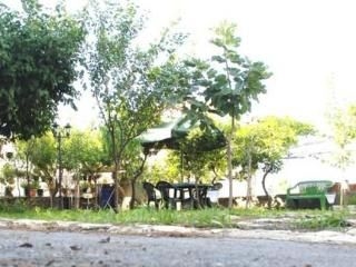 Il Pino Verde Pompei1