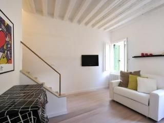 Dorsoduro Terrace And Garden1