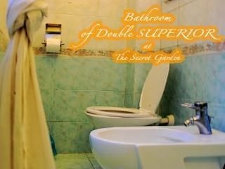 The Secret Garden3