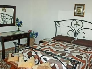 Cavalluccio Marino2