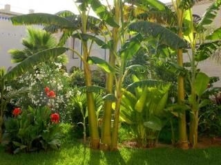 Riad Alkantara3