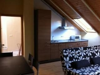Ibiut Apartamentos Turisticos3