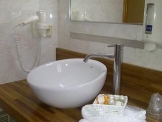 Hotel Esquirol3
