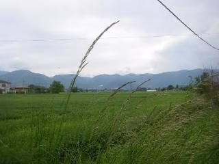 Camere Della Piana3