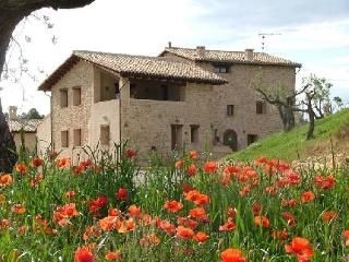 Hotel Mas Del Rei4