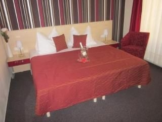 Hotel Albellus2