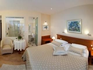 Hotel Royal Suites0