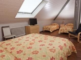 Hotel Du Marche1