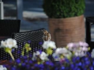 Strandhotel Binz0