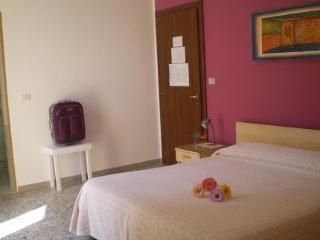 B&B Actinia4
