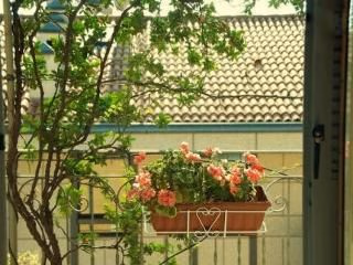 B&B Liberty0
