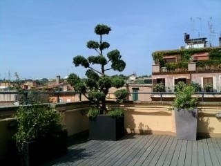 Finestra Su Trastevere2
