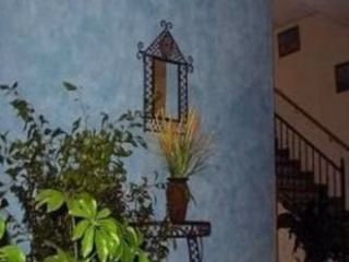 Hostal Patio Andaluz2