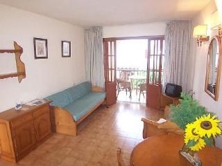 Aptos  Delfin Casa Vida2
