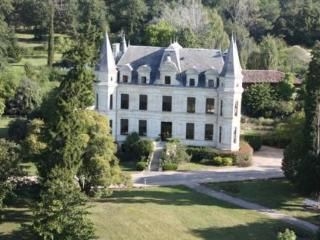 Chateau De Camiac3