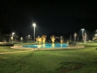 Tenuta San Domenico2