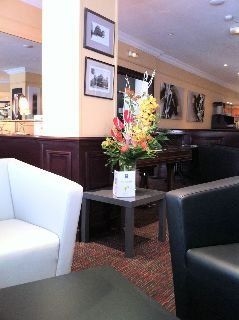 Comfort Urban City Hotel1