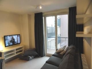 Commelinstraat Apartment1