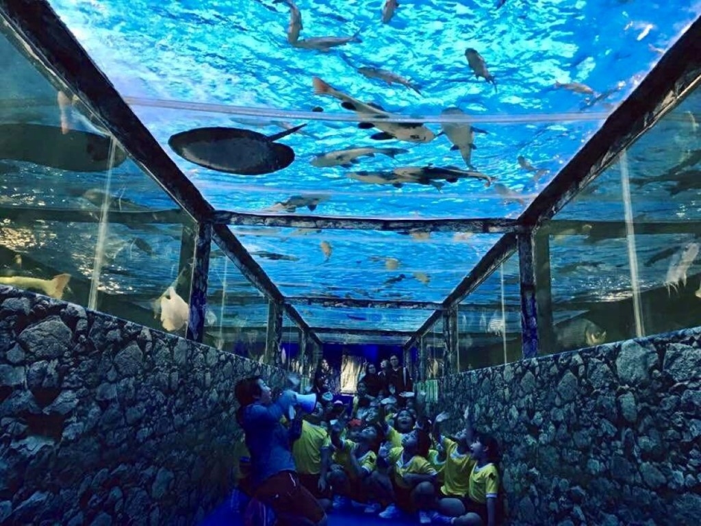 Monster Aquarium Pattaya