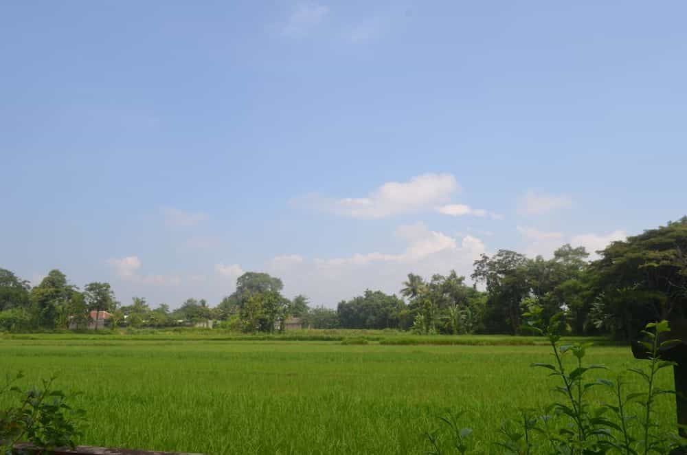 Poeri Devata