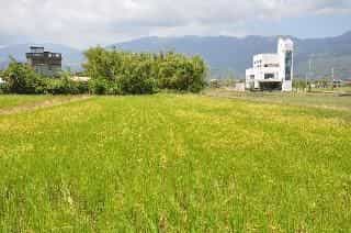 Yutian House Yutian House