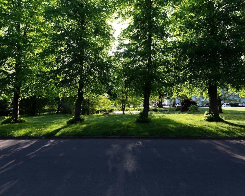 West Lodge Park