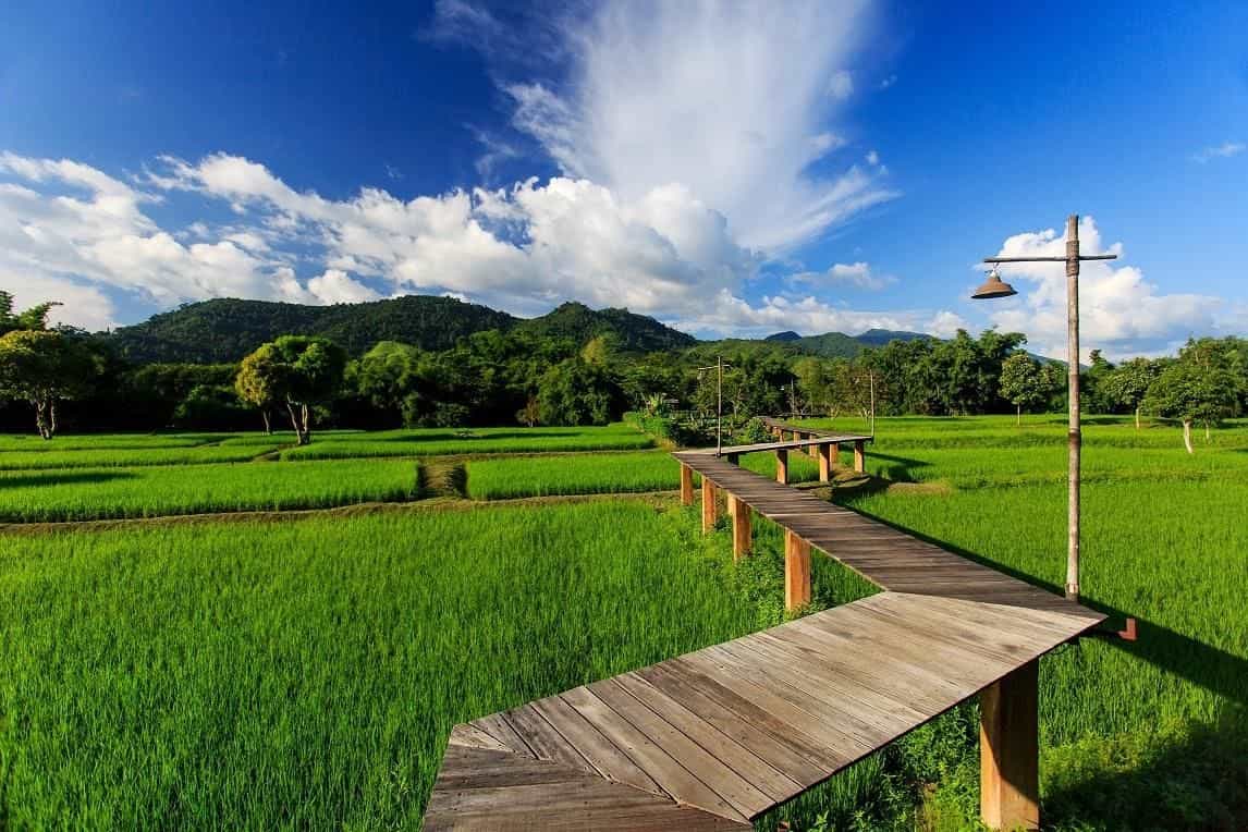 ไร่แสงอรุณ รีสอร์ต ไร่แสงอรุณ รีสอร์ต
