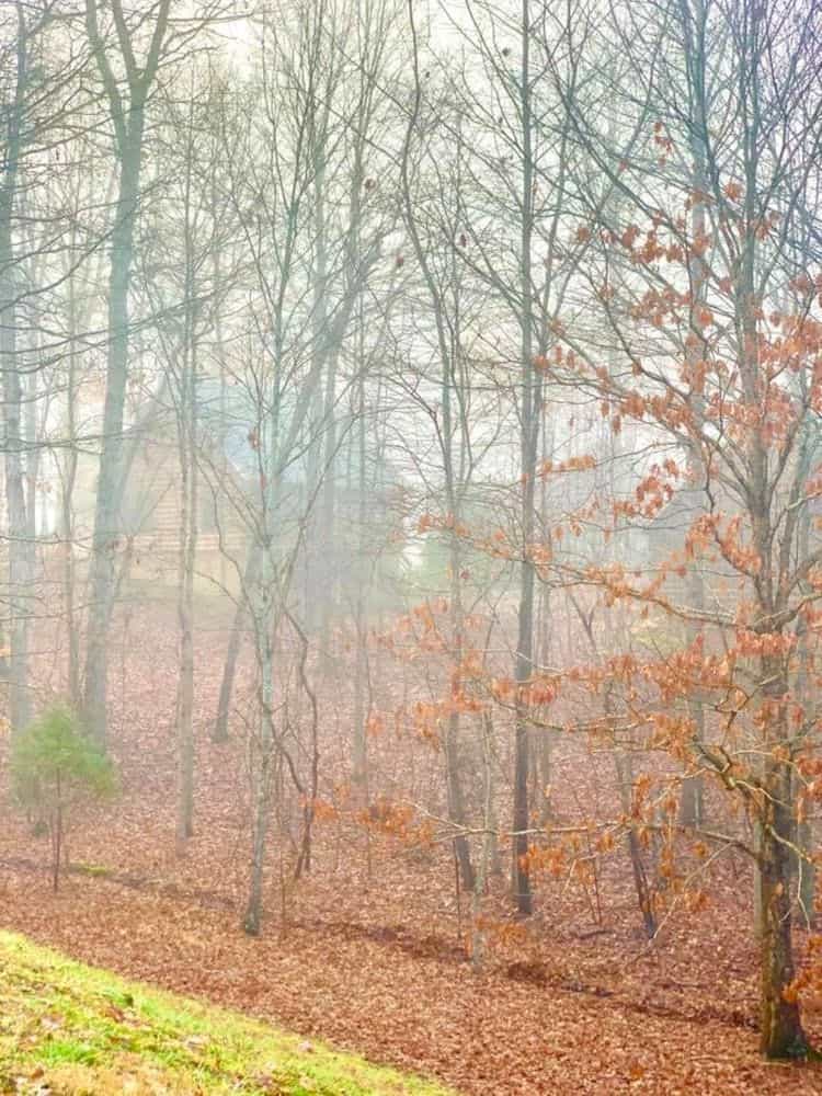 BLUEGREEN VACATIONS SHENANDOAH