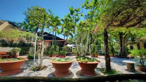 Thanh Dat Resort Thanh Dat Resort
