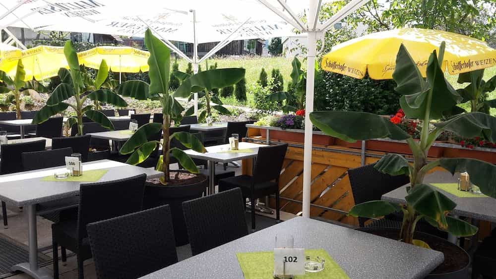 TIPTOP Hotel Hirt TIPTOP Hotel Hirt