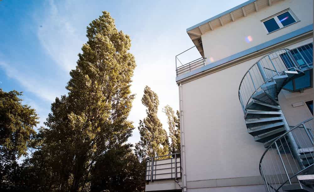 Hotel Bischofslinde Hotel Bischofslinde