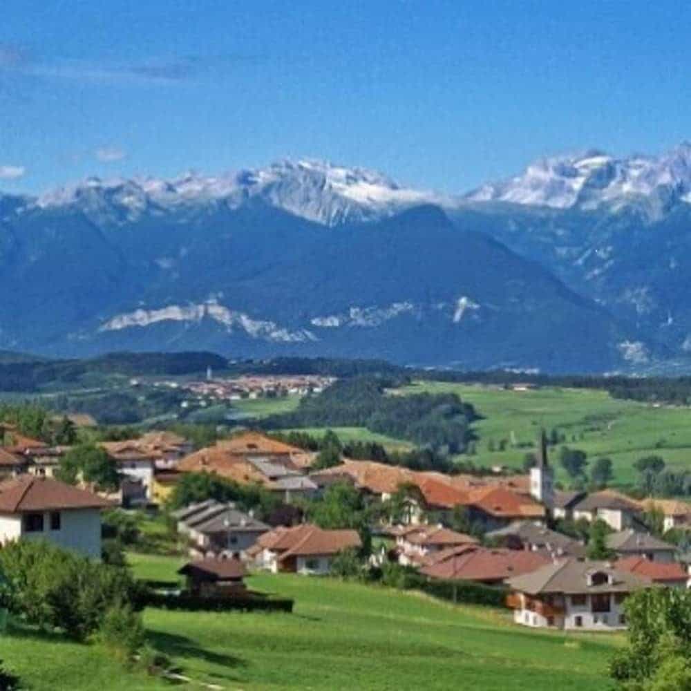 Stella delle Alpi
