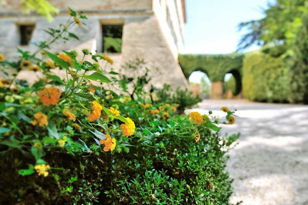 Castello Di Monterado