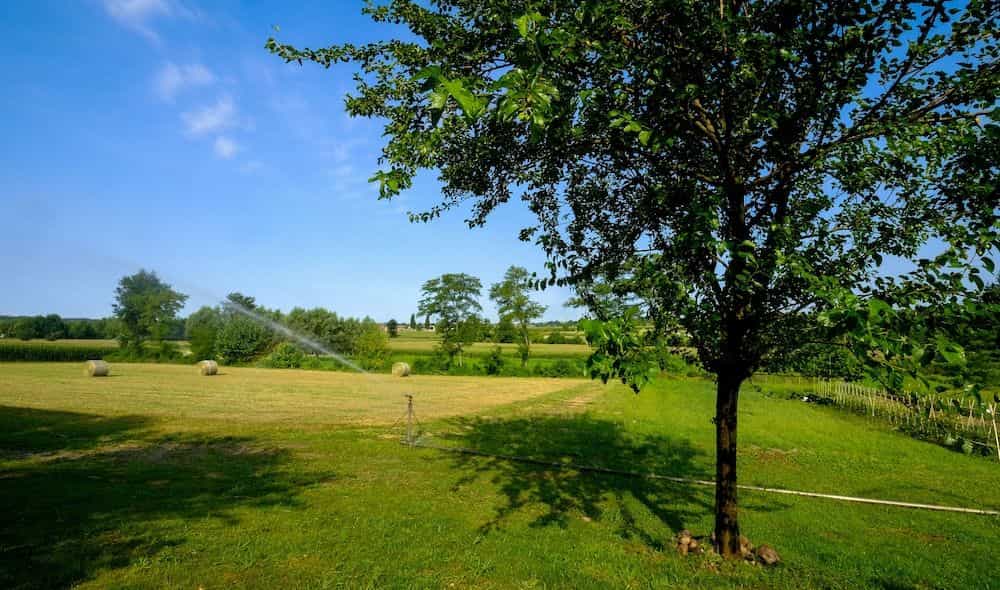 Agriturismo Moscatello